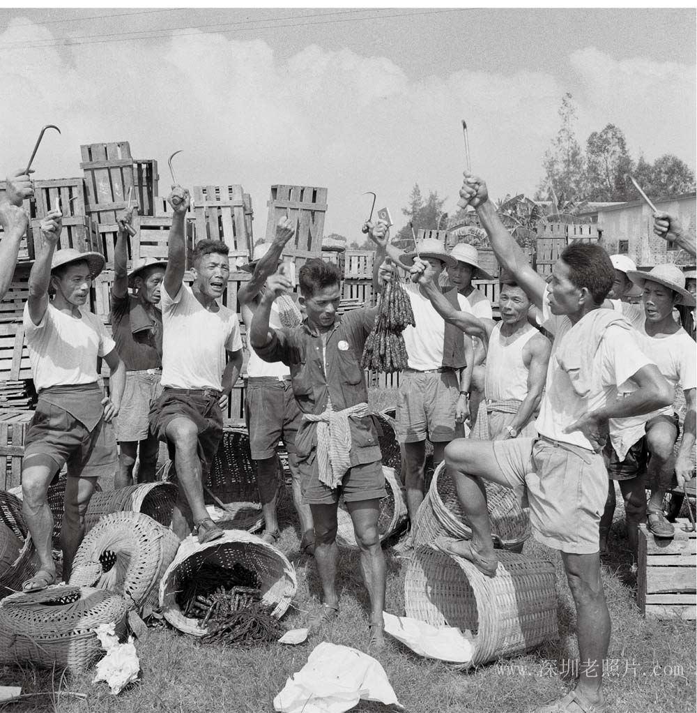 香肠批判会(1970)