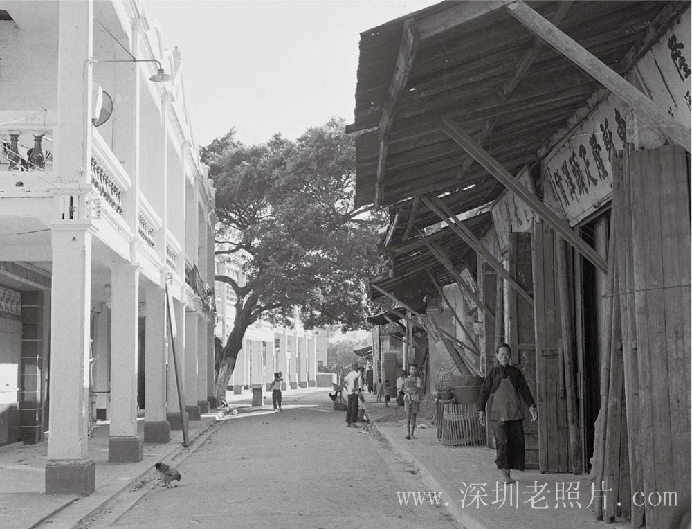 中英街(1963)