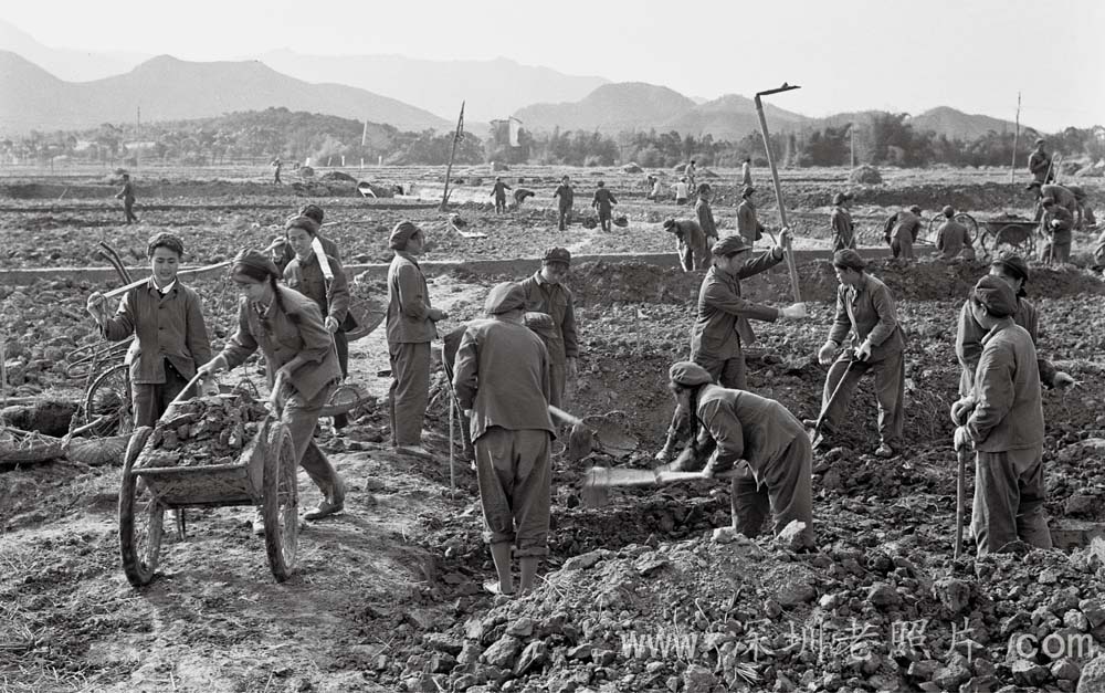 女兵班在地里劳动(1975)