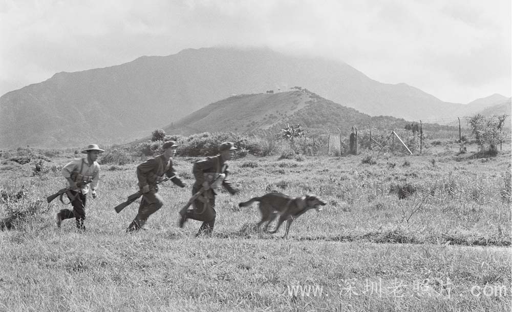 追击偷渡者(1974)