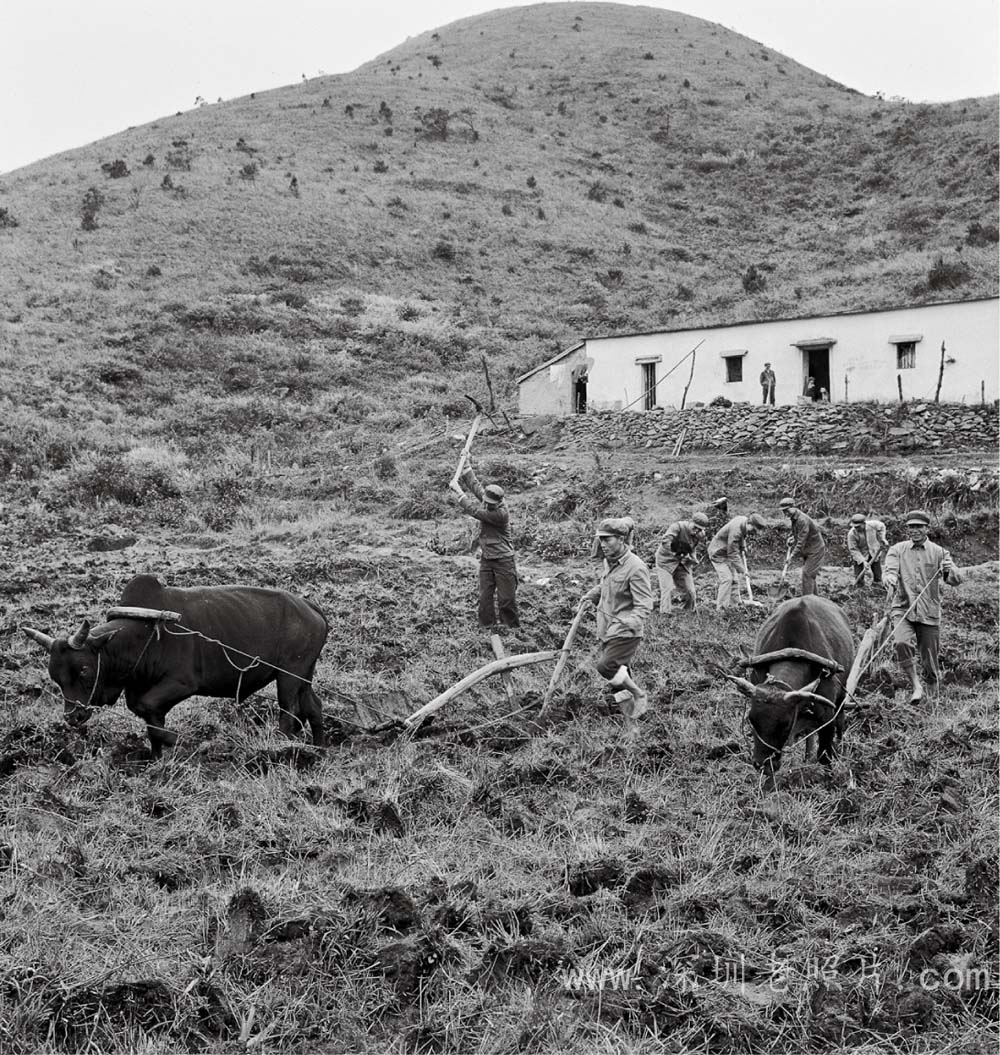 哨所民兵开荒种田(1976)