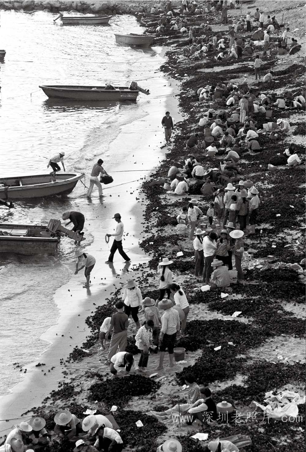 南澳海胆场(1980)