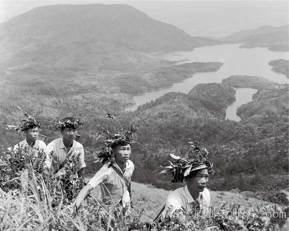 三洲田民兵巡逻(1976)