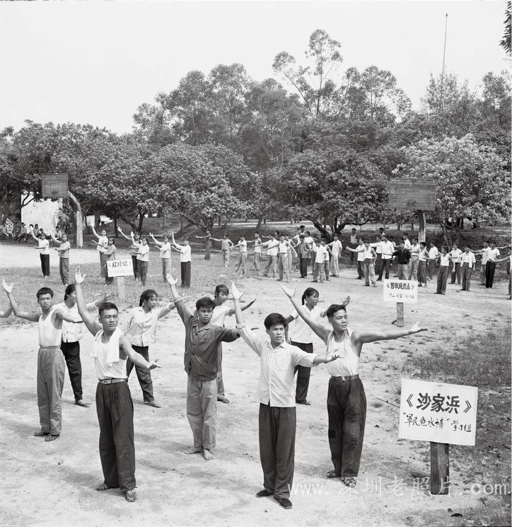 普及样板戏(1975)