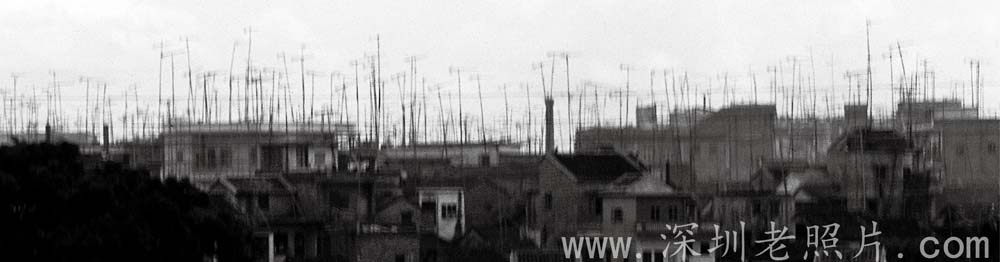 房顶上的天线阵(1981)