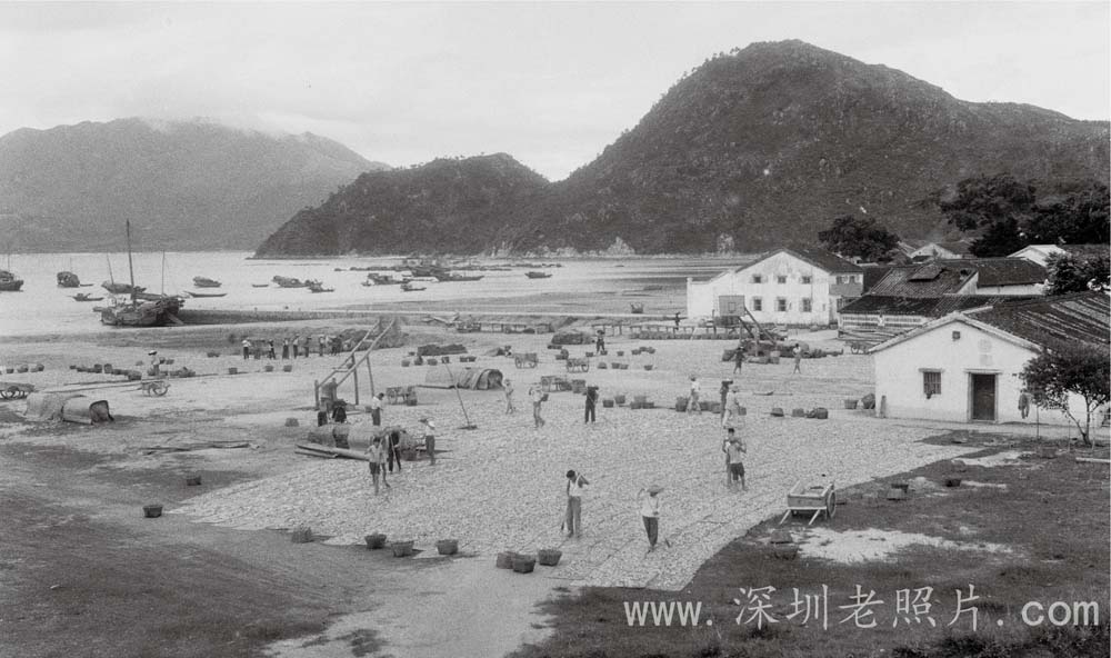 扩建后的东山晒鱼场(1973)