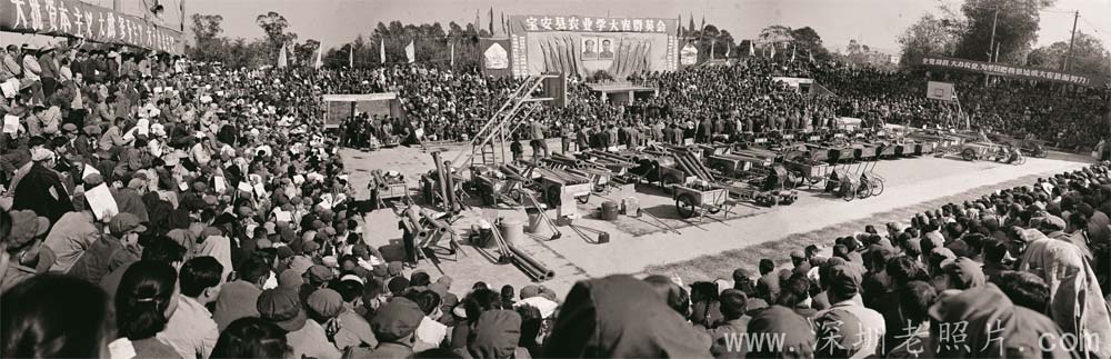 宝安县农业学大寨群英会(1978)