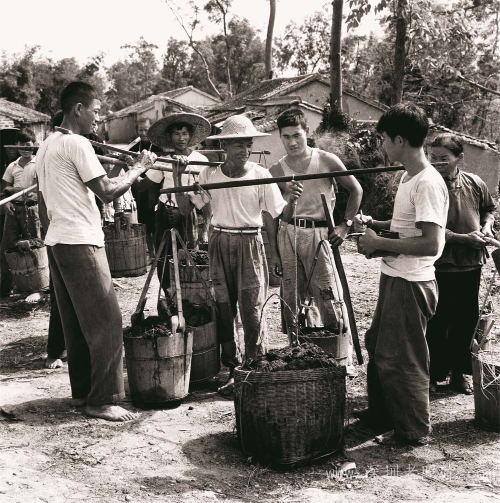 交售农家肥(1975)