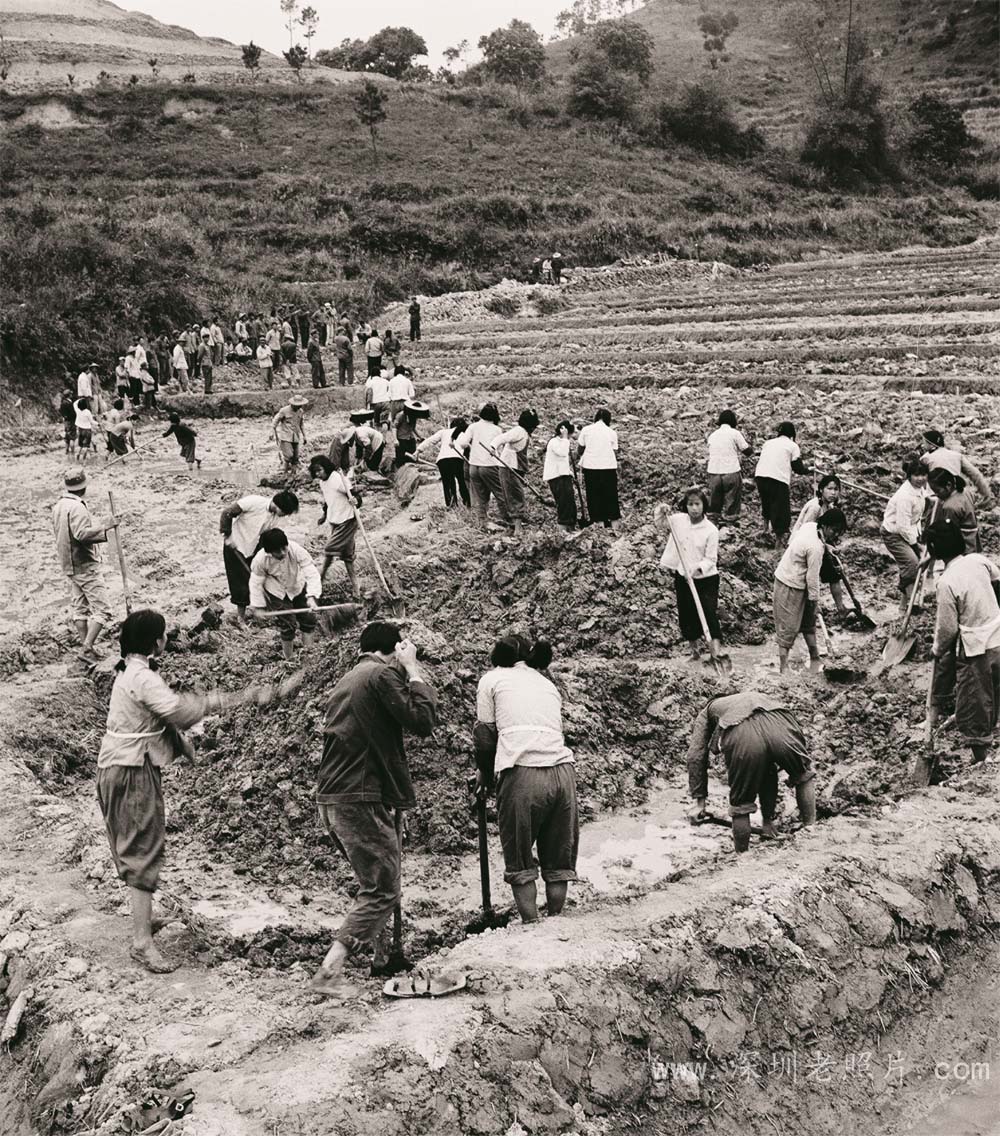改造“亚婆麻”山坑田(沙湾1975)(零星小块山坑田被称为“亚婆麻”)