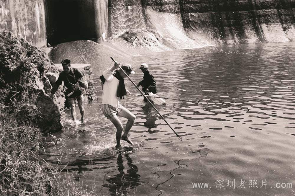 龙岗河水清鱼肥(1974)