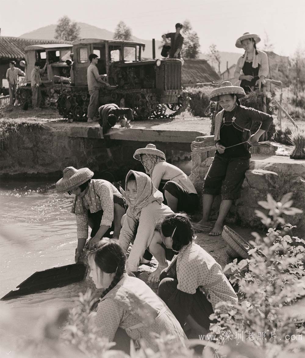 沙田女将(沙井1974)