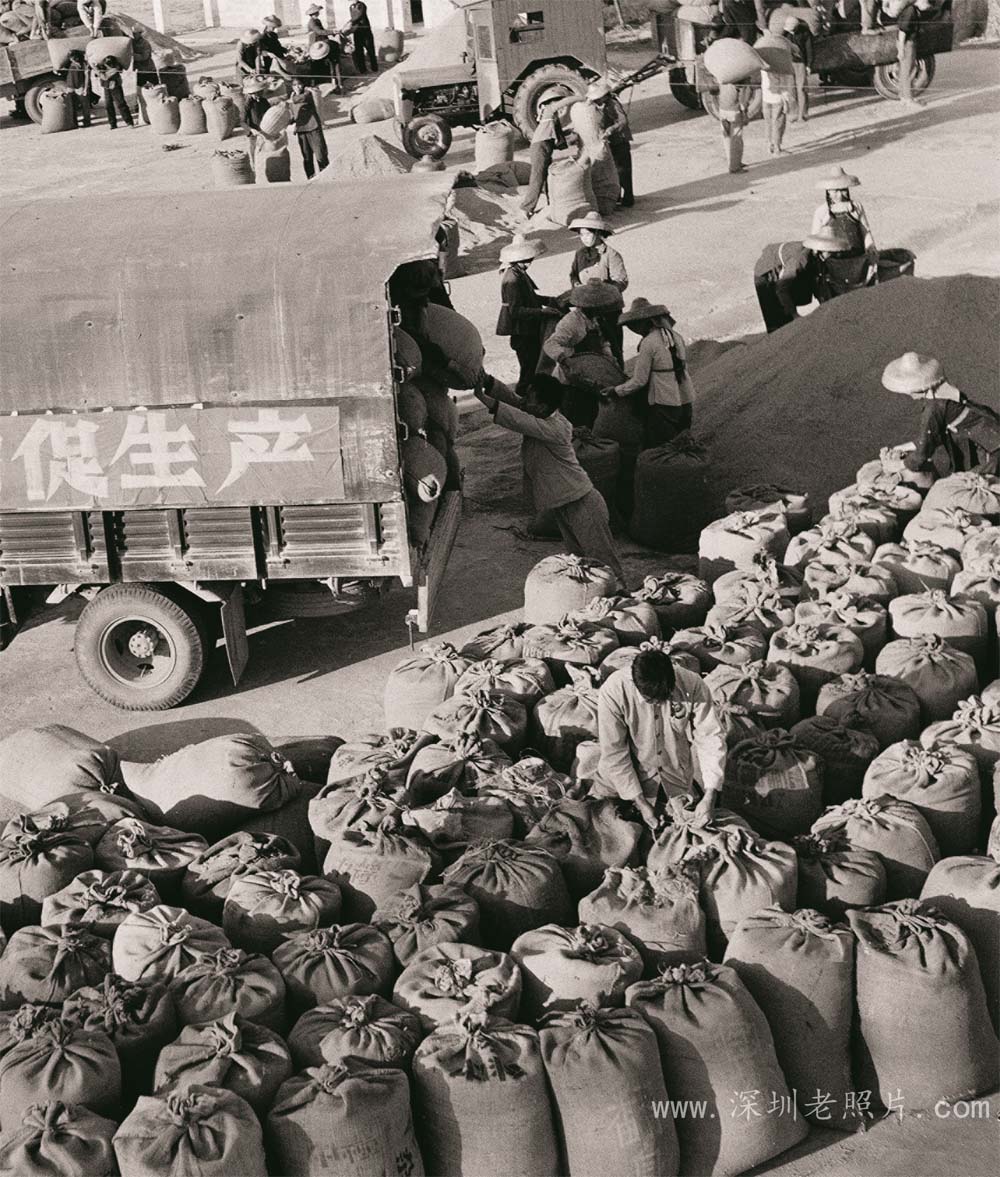 1970 年翻身大队向国家交售粮食558万斤