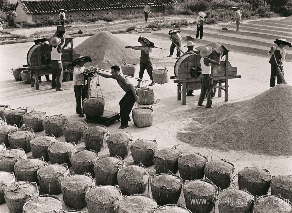 河水上了山，粮食夺高产(1974)