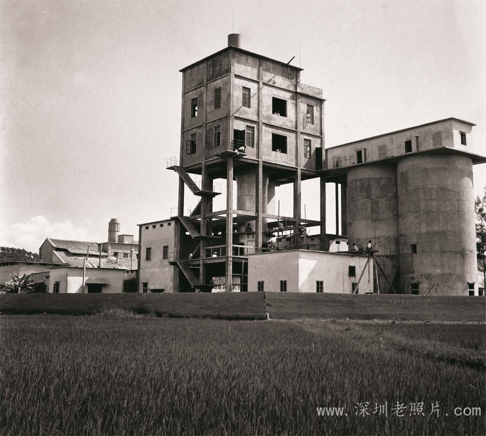 龙岗水泥厂(1971)