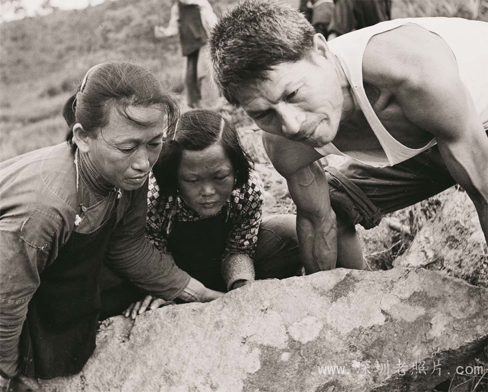 愚公移山(松树墩1973)