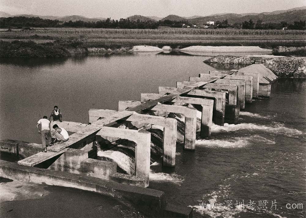 横斩龙淡河，三战水轮泵，实现用电自给(1971)
