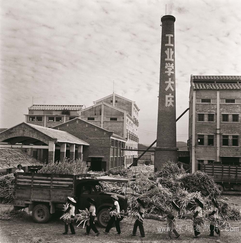 龙岗糖厂（1972）