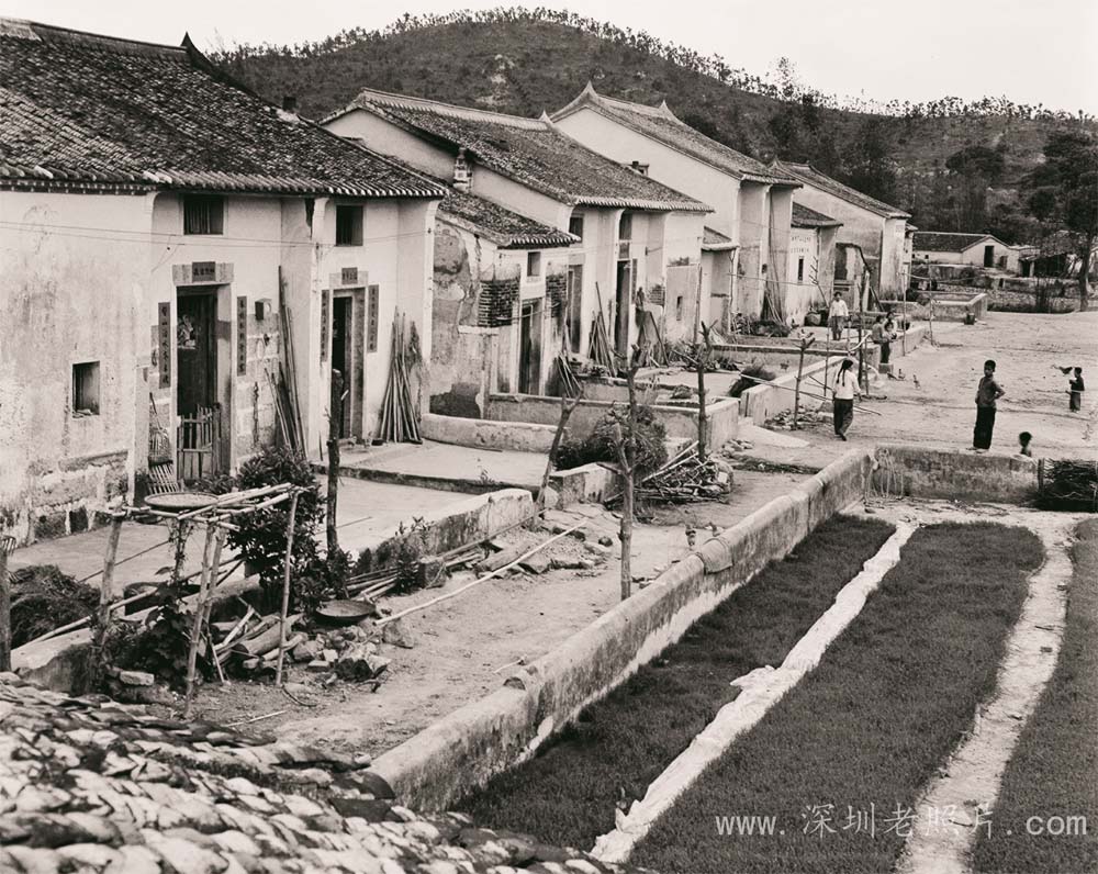 光瓦园村（1973）