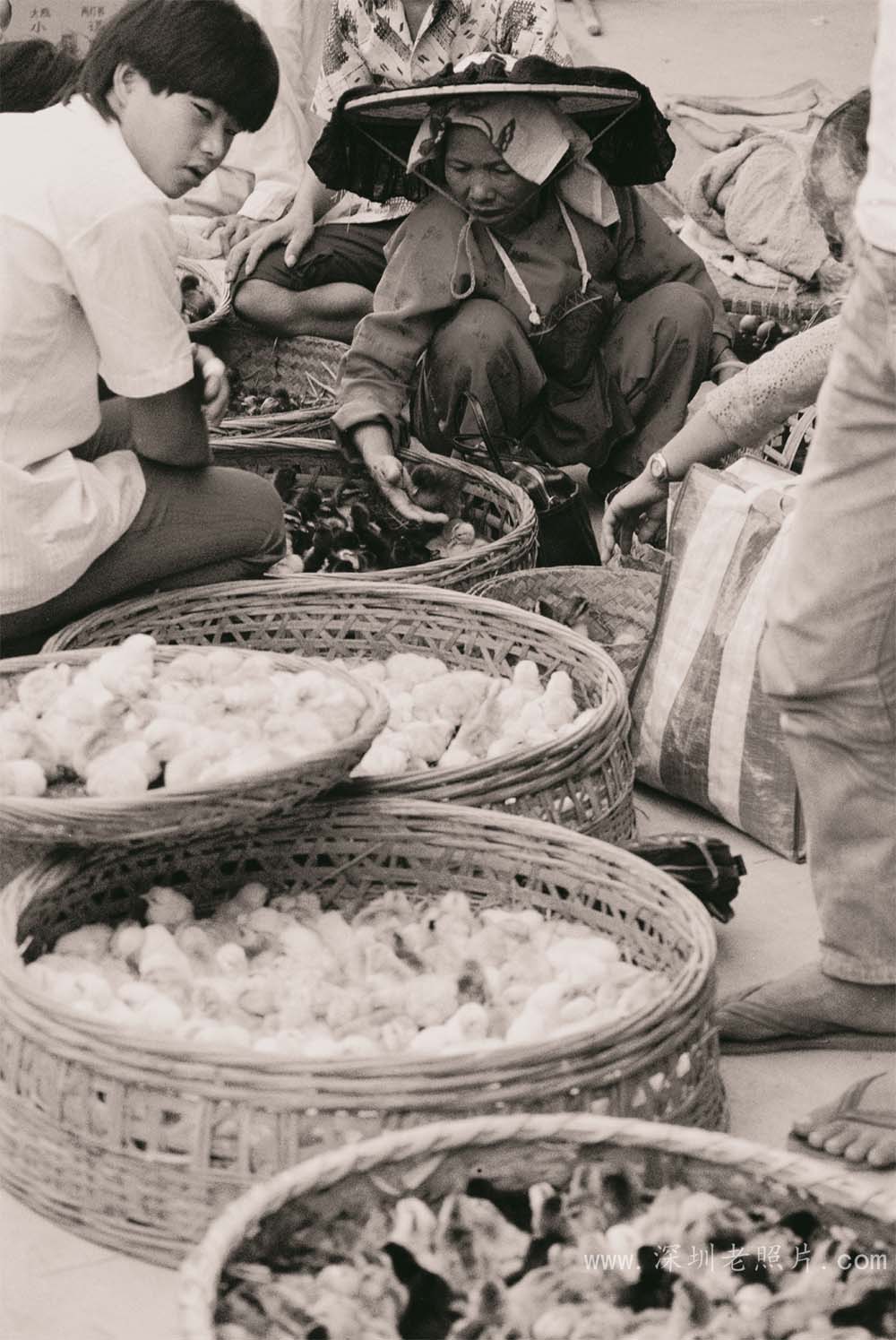 农村圩日(坪山 1974)