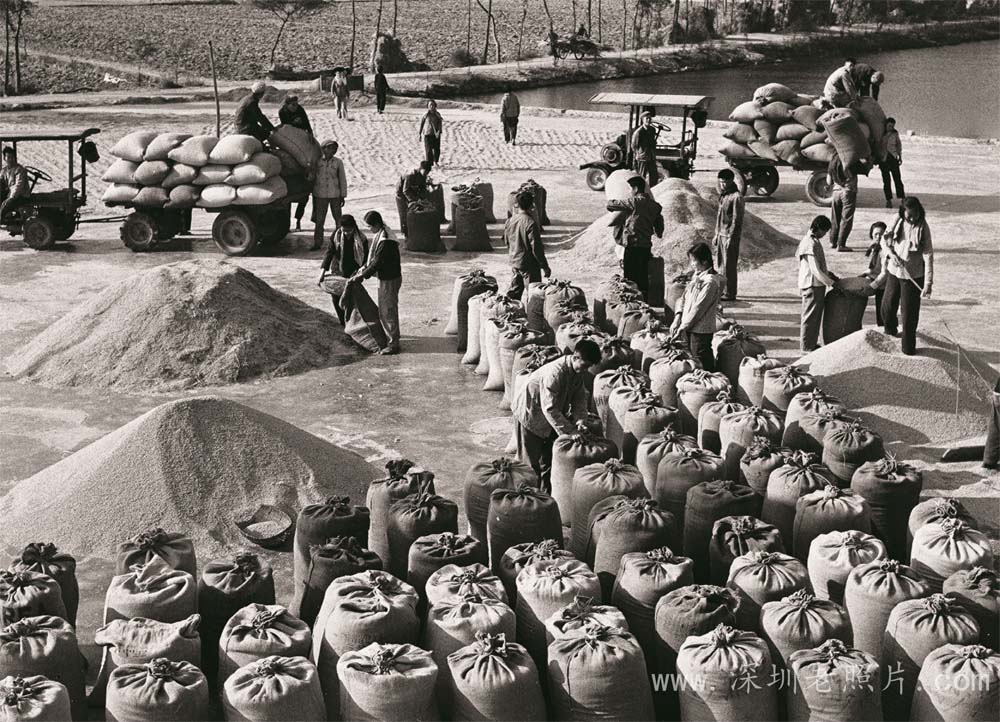 沙溪晒谷场(1973)