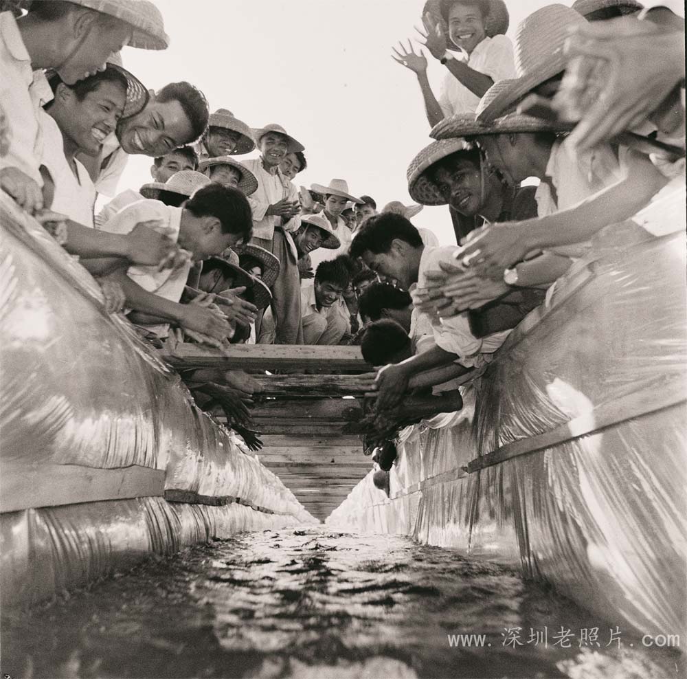 通水了！（龙华1974）