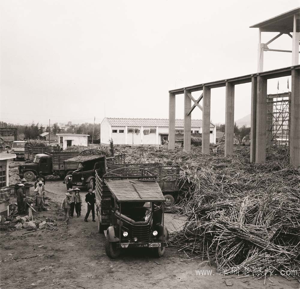 西乡糖厂（1972）