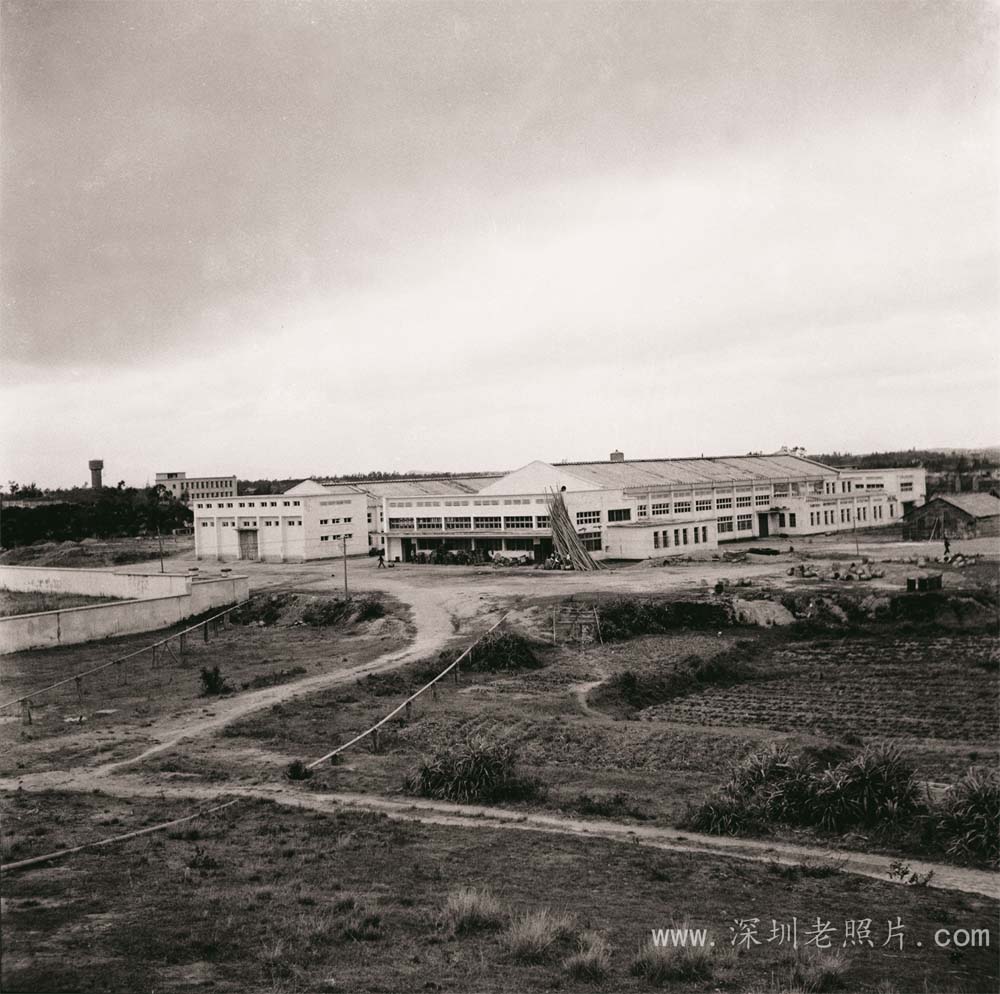 南头罐头厂(1973)