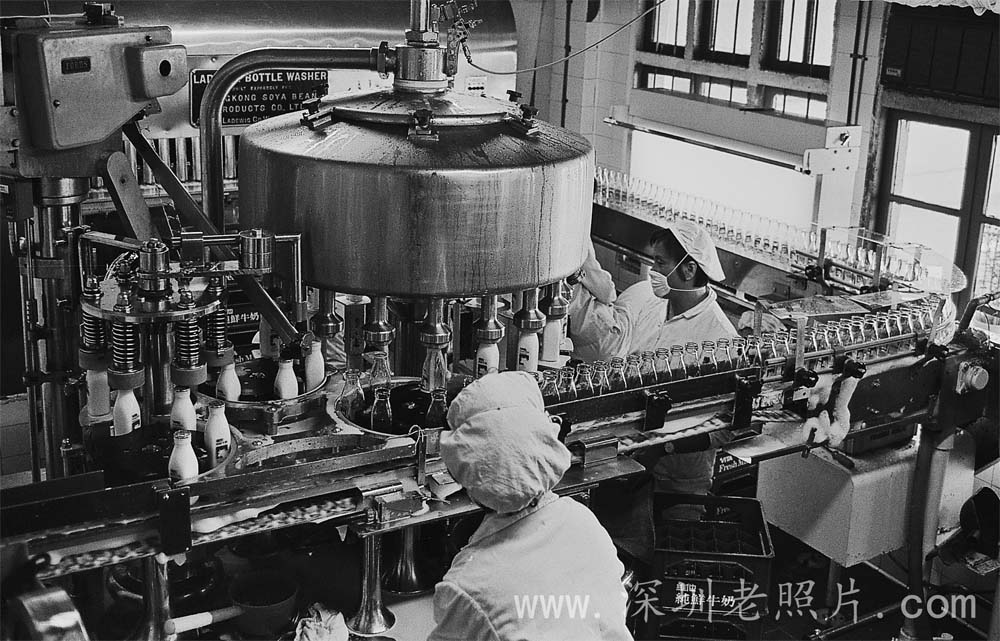 P50-1深圳光明华侨畜牧生产车间（1982）