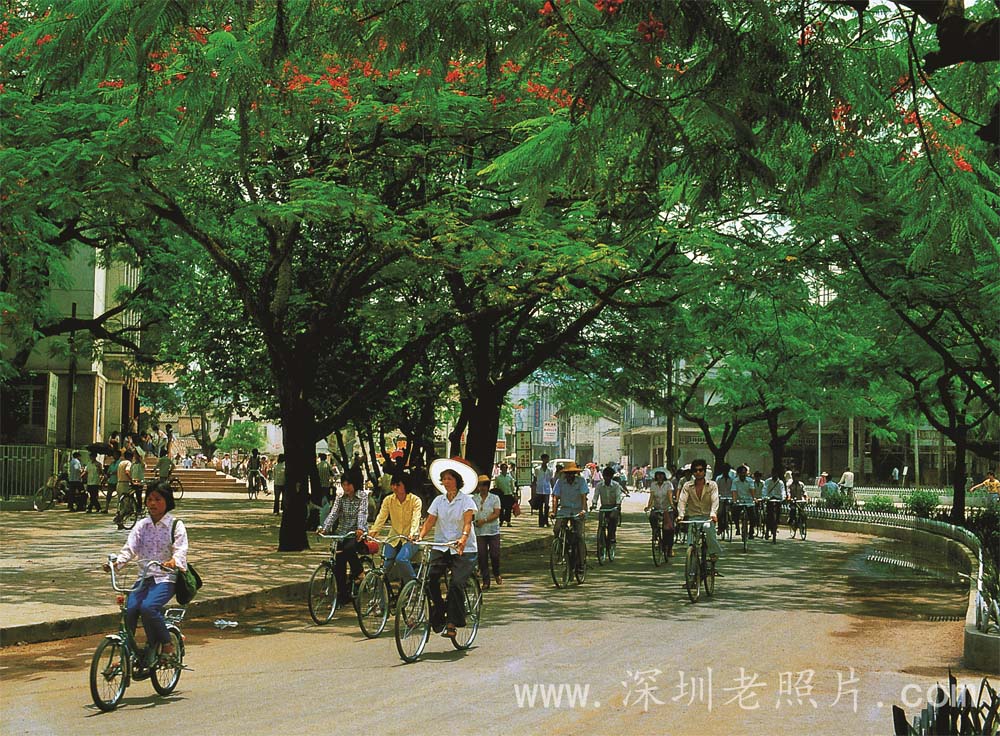东门街景（1979）