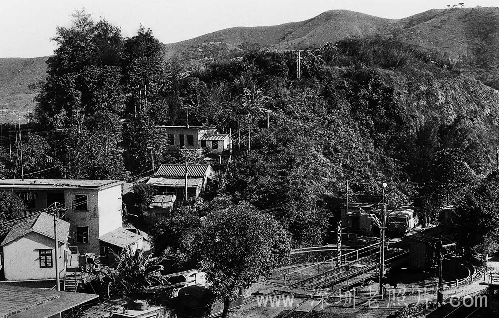 罗湖山原貌（1976）