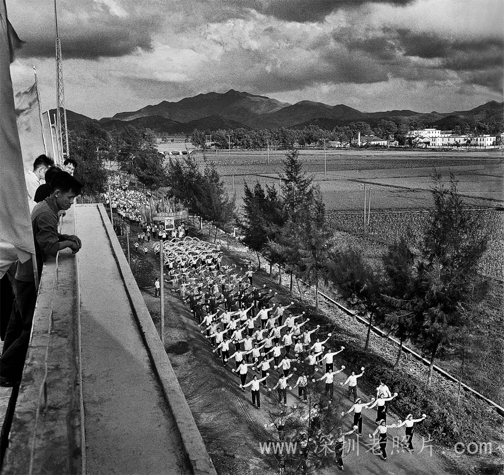 罗湖小区原貌（1976）